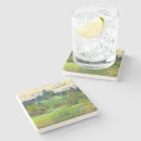 Search for stone pine Landscape