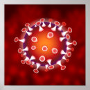 Search for biology posters Teacher