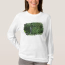 Recherche de volcans tshirts Voyage