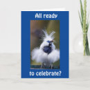 Search for bird watcher birthday cards Photography