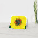 Search for sunflower holiday cards Whimsical