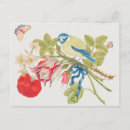 Recherche de oiseaux vintages cartes postales Tropical