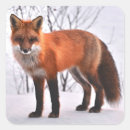 Search for woodland fox stickers Nature