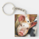 Search for pigs square keychains Hog