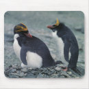 Search for macaroni mousepads Wildlife