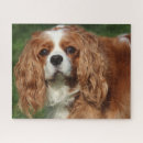 Recherche de rubis puzzles Animal