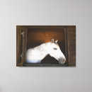 Search for stable art Animal