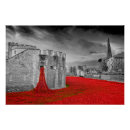 Recherche de tour de londres posters Pavot rouge