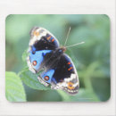 Search for prefectures mousepads Full length