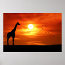 Search for africa silhouette posters Animal