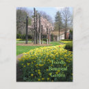 Recherche de tulipe jaune cartes postales Photographie