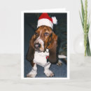 Recherche de hound christmas cards Chien