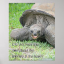 Search for tortoise posters Cute