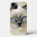 Search for eye pad ipad cases Fur