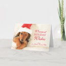 Recherche de canine christmas cards Claus