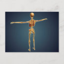 Search for nervous system postcards Medicine