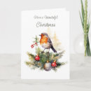 Search for winter robin christmas cards Watercolor