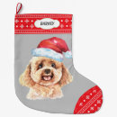 Recherche de caniche chaussette de noël Mignon