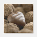 Search for selective focus magnets Indulgence