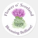 Search for scottish thistle stickers Purple