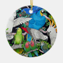 Search for parrot ornaments African grey
