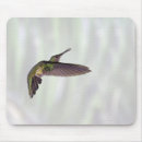 Search for brilliant electronics Wildlife
