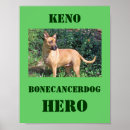 Recherche de canins art Os
