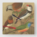 Search for vintage bird art Avian