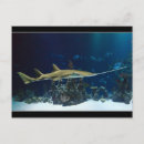 Recherche de scie cartes postales Poisson