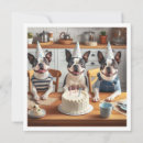 Search for boston terrier birthday Funny