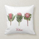 Search for protea pillows Flower