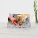 Search for shelters cards Cats