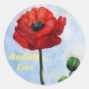 Search for radiation stickers Red