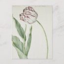 Recherche de tulipe rouge cartes postales Printemps