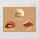 Search for conch postcards Nature