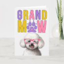 Search for bichon frise cards Pets