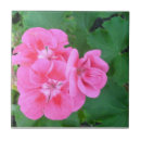 Search for geranium tiles Green