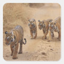 Search for royal tiger stickers Wild