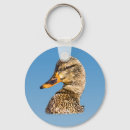 Search for mallard keychains Birds