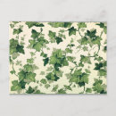 Recherche de ivy cartes postales Vignes