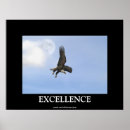 Search for raptors posters Wildlife photography