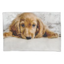 Search for spaniel pillowcases Cute