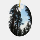 Search for yosemite ornaments Nature