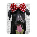 Recherche de labrador noir magnets Animaux