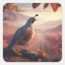 Search for quails stickers Nature