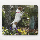 Recherche de cric russell tapis souris Chien