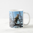 Search for tadpole mugs Nature