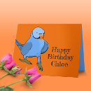 Search for indian ringneck parrot Pet bird