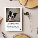 Search for announcing death of dog Cat