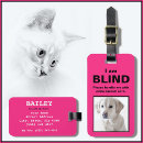 Recherche de chien aveugle Pour animaux